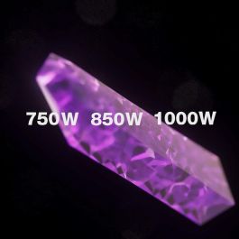 Be Quiet Fuente de alimentación para PC Dark Power 13 BN333 750 W