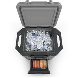 Ninja FB131EUGY FrostVault Nevera Portátil 28 L Gris con Asa de Transporte y Bloqueable