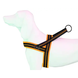 Freedog Arnés Soft-Sport Nj Neon T-S 20 mmx54-64 cm Precio: 12.8138998306. SKU: B18KLP6889