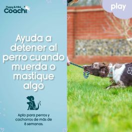 Arnés para Perro Coachi Arnés para Perro Coachi
