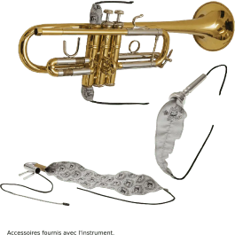 SML Corneta Sib Co50 SML Ancho 18cm Alto 27cm Largo 44cm Instrumento Musical de Viento Madera Laton Brillo