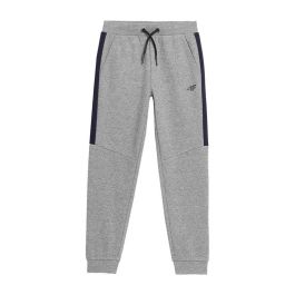 Pantalón Largo Deportivo 4F JSPMD002 Gris XS