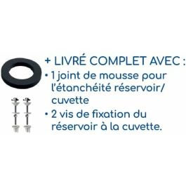 Rousseau AAARV39521 Mecanismo de doble descarga 3/6L Ajustable - Acabado cromado - Fácil instalación