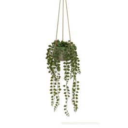 Planta Decorativa Polietileno Cemento 18 x 18 x 46 cm Precio: 18.69000001. SKU: B1B6QP6BDN