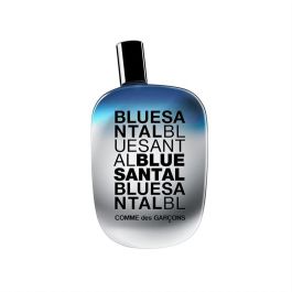 Comme des Garçons Bleu EPV 100ml Eau de Parfum Precio: 108.49999941. SKU: B17P647F7V