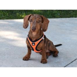 Nayeco Arnés X-Trm Neo Naranja XXS 30-35 cm