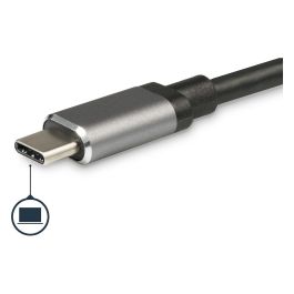 Hub USB Startech DKT30CSDHPD Gris 60 W