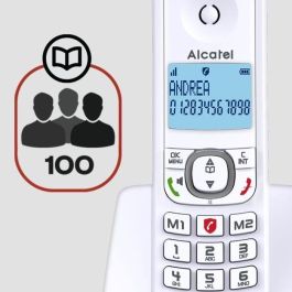 Alcatel F530 Teléfono Inalámbrico Sin Contestador, Gran Pantalla Retroiluminada, Manos Libres, Directorio 50 Contactos, Función VIP, Gris