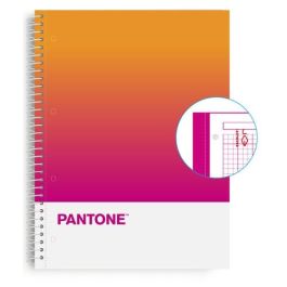 Bloc Escolofi Notebook Pantone Together A4 80H Cuadric.5X5 90G Creativity 5 unidades Precio: 27.50000033. SKU: B1ECKSF33D