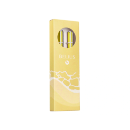 Belius Endless Summer Juego Boligrafo y Roller, Aluminio Amarillo y Plateado, Tinta Azul, Caja de Diseño