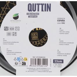 Quttin Sarten Esmaltada 22 cm Avin 22 x 5,5 x 38 cm