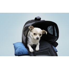 Gloria Bolso Plegable Gloss Negro Talla S 35x22x23cm para Perros Pequeños, Ligero, Resistente, Poliéster, hasta 4kg