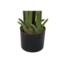 Planta Decorativa DKD Home Decor Palmeras Verde PE (50 x 50 x 180 cm)