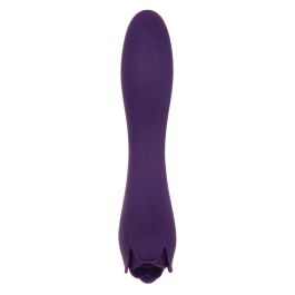 Vibrador Evolved Morado Vibrador Evolved Morado