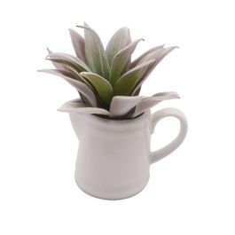 Planta Decorativa Versa Cerámica Plástico 11,43 x 11,94 x 11,43 cm Precio: 7.90000046. SKU: B15DYACKXZ