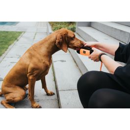 Hunter Portasnacks Entrenamiento Con Cuerda Naranja-Negro 20cm Polyester