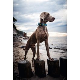 Hunter Collar Hilo Vario Plus XL para Perro Cuello 45-70 cm Turquesa, Malla 3D Transpirable, Ligero y Refrescante