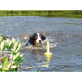 Mordedor de perro Trixie 29 cm