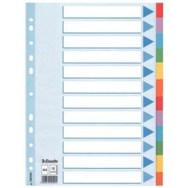 Esselte Separadores Multitaladro Cartón 12 Posiciones A4 Índice Colores Precio: 2.78999985. SKU: B1HPZXPGRT