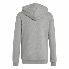 Sudadera con Capucha Unisex Adidas Essentials Gris
