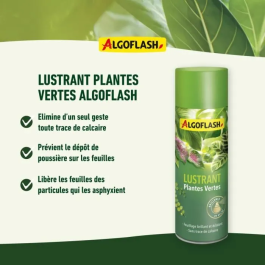 Algoflash Brillo Plantas Verdes Pulimento 250 mL