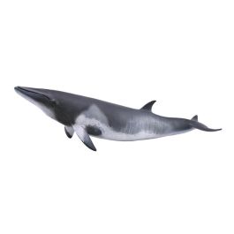 Ballena Minke - Xl - 88862 - Collecta Precio: 9.9583. SKU: B1HYMYYGMK