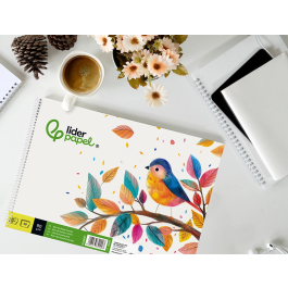 Liderpapel Bloc Dibujo Escolar Espiral 230x325mm 20 Hojas 90 gr/m² Sin Recuadro