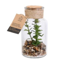 Planta Artificial Con Bote Vidri Home Deco Factory Precio: 7.79000057. SKU: B1GGREPZ27