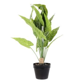 Planta Artificial Home Deco Factory 55 cm 