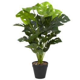 Planta-Costilla De Adán Home Deco Factory 90 cm  Precio: 21.99000034. SKU: B16Y2Q23EJ