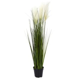 Planta- Hierba Y Pampa Home Deco Factory altura 90 cm  Precio: 22.49999961. SKU: B13ZENCGZW