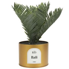 Planta artificial Precio: 5.94999955. SKU: B1BAXDKRAK