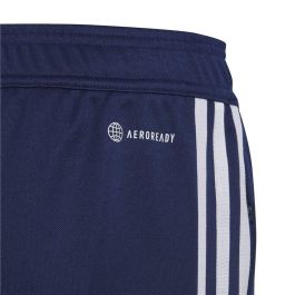 Pantalones Cortos Deportivos para Niños Adidas Tiro 23 Azul marino S