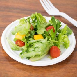 Algon Set 15 Plato Redondo Plástico Eco 17 cm