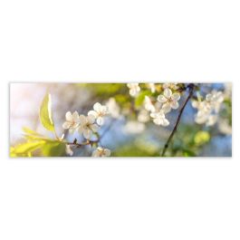Cuadro Multicolor 180 x 3 x 60 cm Precio: 53.49999996. SKU: B1HJKVNHFX