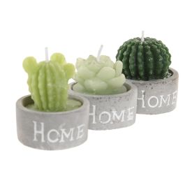 DKD Home Decor Vela Set de 4 Cactus Verde Gris Cera Parafina Cemento 32 gr 12 Unidades 6 x 5 x 20 cm