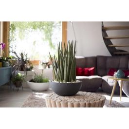 EDA PLASTIQUE Maceta de Lavabo Graphit'Up Ø 40 cm, 14.9L - Gris Antracita, Resistente Heladas, Drenaje, Uso Exterior e Interior