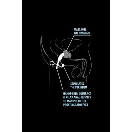 Plug Anal Blush Anal Adventures Negro Plug Anal Blush Anal Adventures Negro