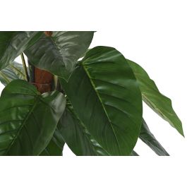 DKD Home Decor Planta Artificial Filodendro Verde Marrón 120 cm Alto x 60 cm Ancho x 60 cm Largo (2 Unidades)