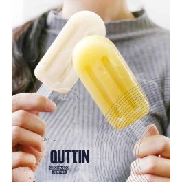 Quttin Molde Helado Individual Silicona 6,5 x 3 x 14 cm (36 Unidades)