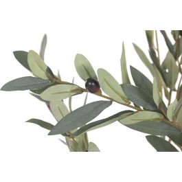 DKD Home Decor Árbol Mediterráneo Olivo 60x150x60 cm Poliéster Cemento Precio: 69.6718. SKU: B17MYSZYWQ