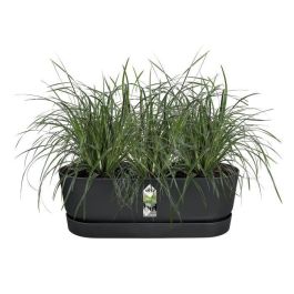 Elho Jardinera Greenville Easy Balcony 52 Living Black para Balcón, L 21,2 x An 52 x Al 19,4 cm