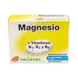 Vallesol Magnesio+B Efervescente 24 Comprimidos Precio: 7.5000002. SKU: S0586155