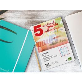 Recambio Liderpapel A4 Pautaguia 100 Hojas 75 gr Cuadriculado Pautado 5 mm Con Margen 4 Taladros