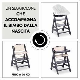HAUCK HAU1731627400690 Trona Evolutiva BETA+ de Madera FSC con Arnés de 5 Puntos y Ruedas para Bebés de 6 Meses a 90 kg, Gris