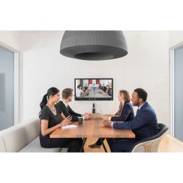 Logitech 960-001034 Conference Cam Connect Full HD 1080p, Zoom 4x, Micrófono y Altavoz, Gris