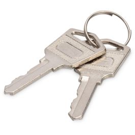 Digitus 347329/389306 Llaves de Cierre Plata para Taquillas de Carga (Carros) - 2 Unidades, 45x20x2mm Precio: 13.50000025. SKU: B1G6PTLLEN