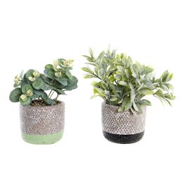 DKD Home Decor Planta Negro Verde 12 x 24 x 12 cm (6 Unidades) Precio: 33.4999995. SKU: B1ABZJGELH