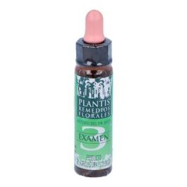 Plantis Remedio Nº 3 Exámenes Concentración y Memoria Eco 10ml Precio: 12.5900005. SKU: B1G9W3KHA5