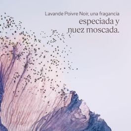 L'Occitane En Provence Gel de Ducha Lavande Poivre Noir para Rostro y Cabello, Fragancia Cítrica y Especiada, 250 ml